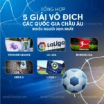 5-giai-dau-hang-dau-chau-au-va-tam-quan-trong-cua-chung