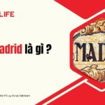 hala-madrid-la-gi